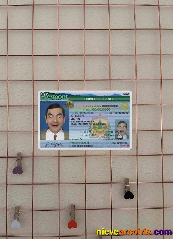 USA Vermont driving license (2004-2019) photolook